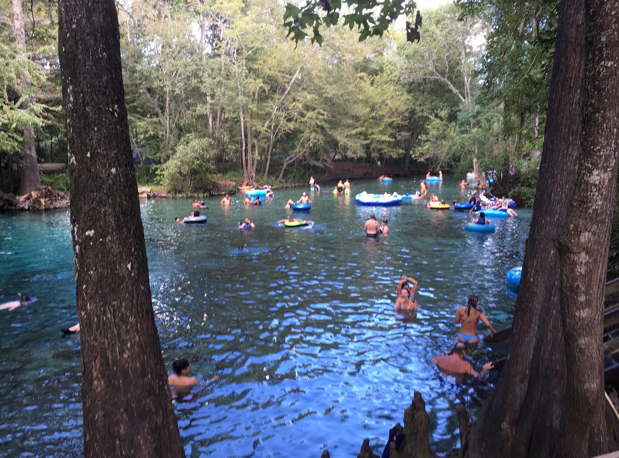 GinnieSprings