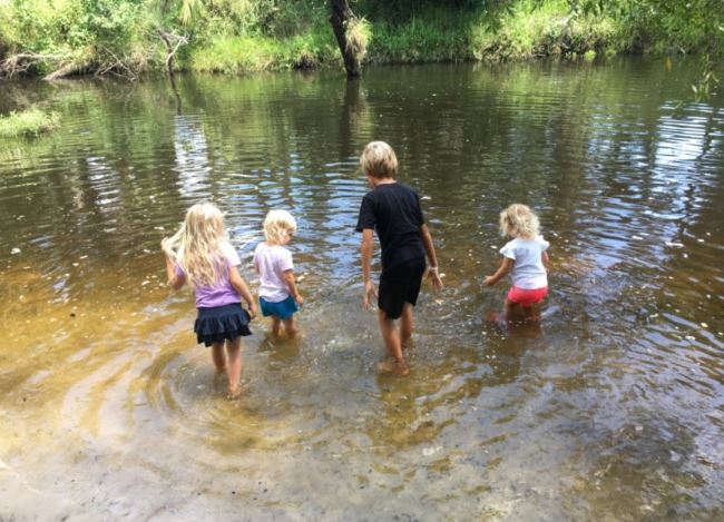 Revisiting Little Manatee River State Park